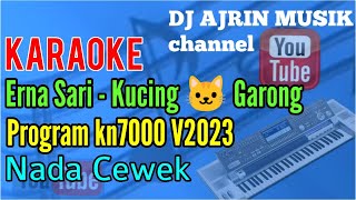 Erna Sari - Kucing Garong [Karaoke] Kn7000 - Nada Wanita