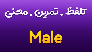 تمرین، تلفظ و معنی جنس نر ، مذکر ، مرد به انگلیسی و فارسی | Male |