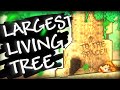 Terraria&#39;s LARGEST LIVING TREE! [EN/RU/ES]