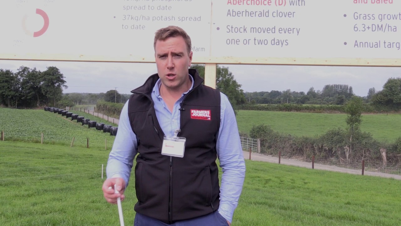Tullamore Farm open day – soil fertility and grassland management