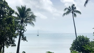 Ep 251 | Reefs Everywhere! Tricky Sailing to Portland Roads, Sailing Nutshell