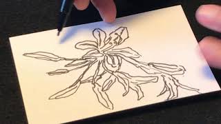 アガパンサスの花を油性サインペンで描いた。