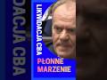 Likwidacja Cba Ryszardbogucki Karolnawrocki Prawoisprawiedliwość Koalicjaobywatelska Rządtuska
