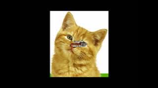 Reupload Nicht erschrecken @mithumagicals3776