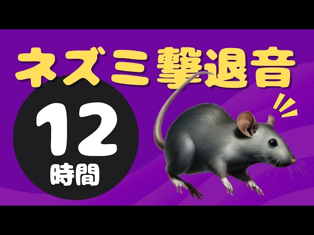 強力ネズミ撃退音 (12時間)。ネズミが嫌がる音。就寝中や外出中に連続