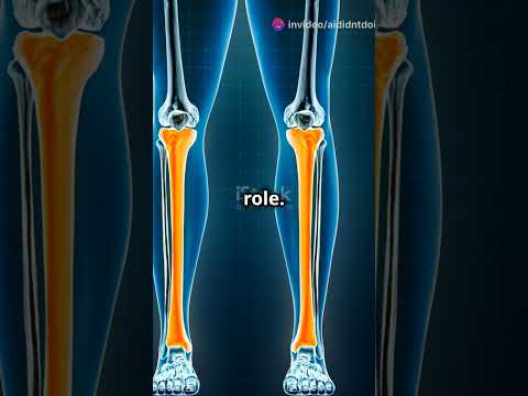 Understanding The Fibula Anatomy 101 Fibula Future Doctor Facts Shorts Shortsvideo Like 