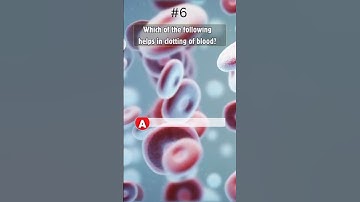 trivia quiz questions part 2 #riddles #trivia #quiz #generalknowledge #shorts #youtubeshorts