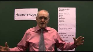 Details Hemorrhage 6, Management Guide