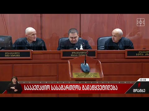 სააპელაციო სასამართლოს გადაწყვეტილება