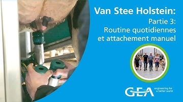 Routine quotidiennes et attachement manuel - Van Stee Holsteins – Partie 3