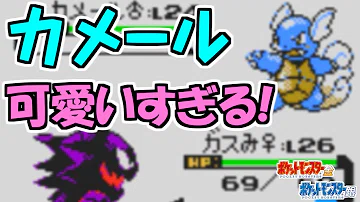 تحميل ポケットモンスター金グラフィック تحميل ポケットモンスター金グラフィック