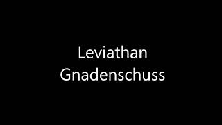 Leviathan - Gnadenschuss (Official Audio)