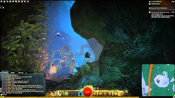 GW2 Quaggan Paddle Guild Rush