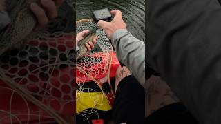 Rainy Day Paddle Board Fly Fishing #flyfishing #flyfishingtrout #fishing #fyp #fypシ #paddleboarding