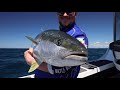 How to Livebait For Kingfish
