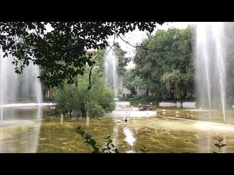 Mamakoo 🧡 Mexico City - Parque México