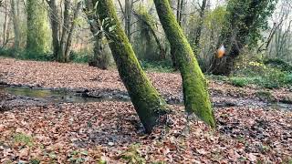 Rızkımı Veren Hüdadır, Kula Minnet Eylemem