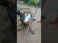 masosobina afutawa tiphanapo@@