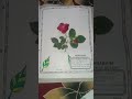 #Herbarium#file#division of botony #yputube #shorts#
