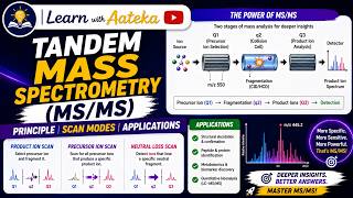 The Explainer Tandem Mass Spectrometry MS MS online video cutter com