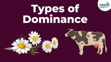 Genetics - Dominance and Its Types - Lesson 8 | Don