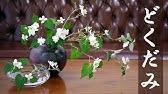 生け花 ３つのポイントで自由花も簡単 基本 Ikebana Let Ikebana Be Free In 3 Steps Youtube