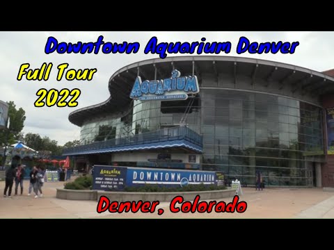 Videó: Downtown Aquarium, Denver, Colorado