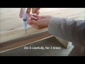 How to wipe out insect in wooden furniture? - Wood Worker Tips