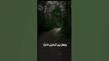 امّن جعل الأرض قرارًا وجعل خلالها انهارًا| سورة النمل | القارئ الشيخ علي جابر 🪷