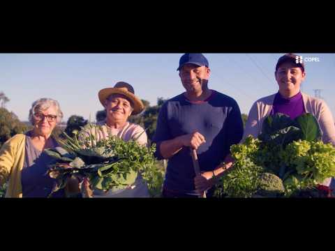 Copel Cidadã - Cultivar Energia