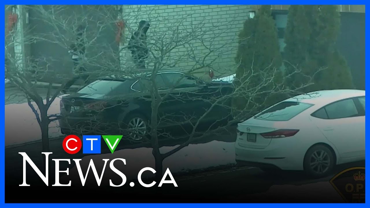 Canada-wide warrant issued for suspect in shooting - YouTube