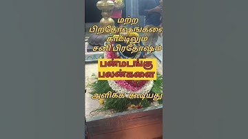 #சனி பிரதோஷம் 🔱#omnamahshivaya #rjjamunakitchen #sivan #lordshiva  #shorts #sivansongs #pradhosham