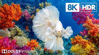 Exotic Blue Deep Sea Creatures in 8K HDR | Dolby Vision™ screenshot 4