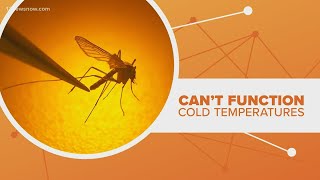 Connect the Dots: Does the cold kill mosquitos?