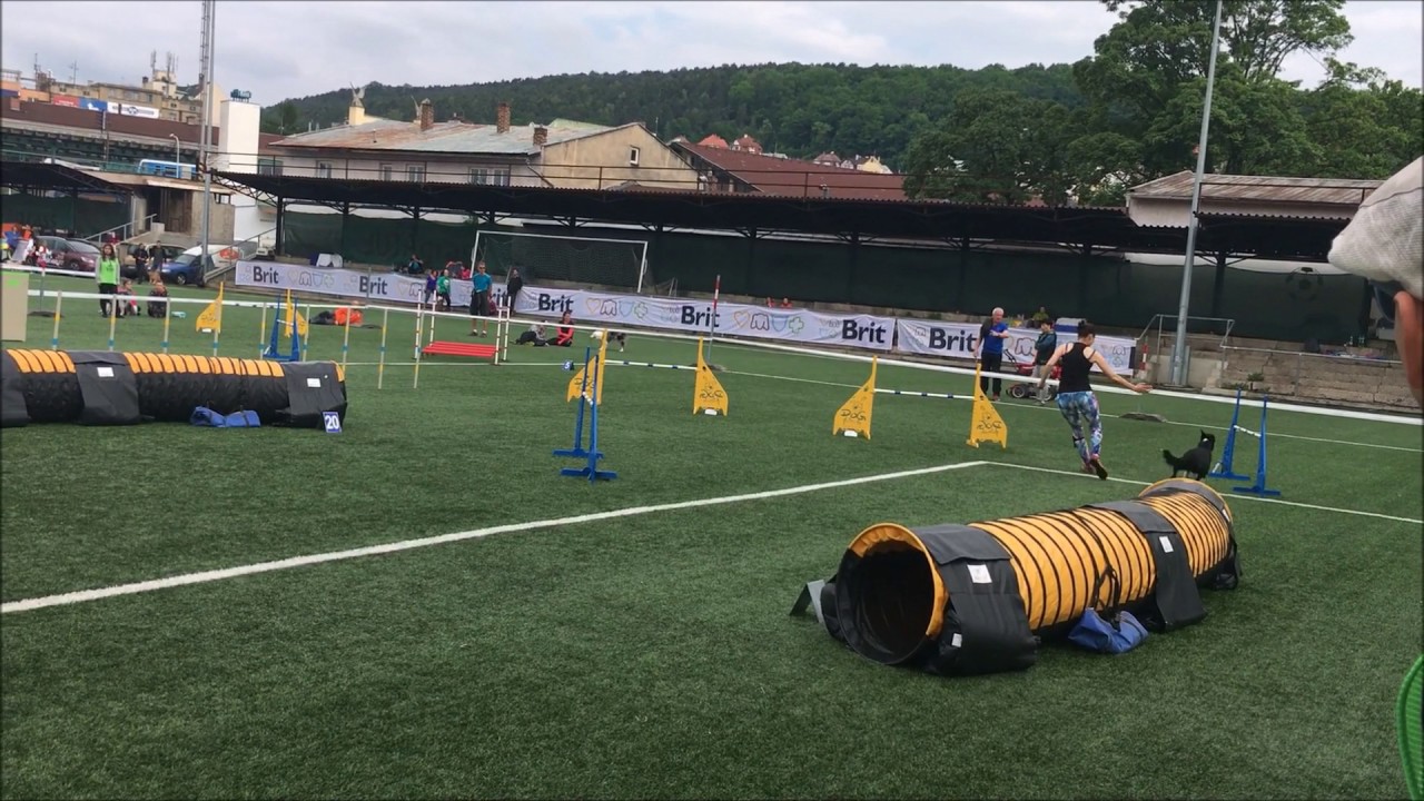 Czech & polish AWC qualis