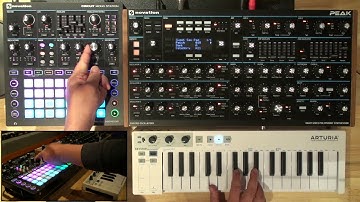 The Calm with Novation Peak and Circuit Mono Station