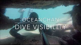 Getting good visibility for diving | Freediving through swim-throughs