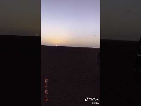 ليتك ركبتي معي في الجيب يانوره