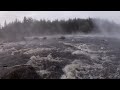 На безрыбье и щука - рыба!
