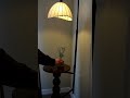 Space-Saving Magic ✨ Arc Lamp + Table in One | Homeyfad