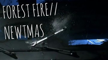 Forest Fire//Newtmas