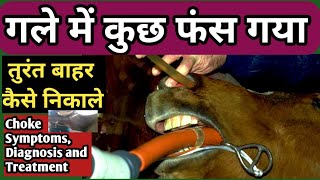 Choke Symptoms, Etiology, Diagnosis and Treatment in Animals|| गले में कुछ फंस जाए तो कैसे निकाले?