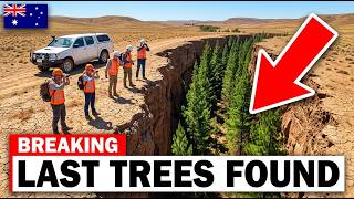 They Found The Last 60 Trees In Australia And The Result Is SHOCKING!