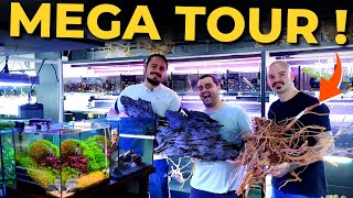 VISITEI UMA  LOJA FANTÁSTICA DE AQUARISMO. TOUR PELA ECOTOP, UMA DAS MAIORES LOJAS! |Mr. Betta|