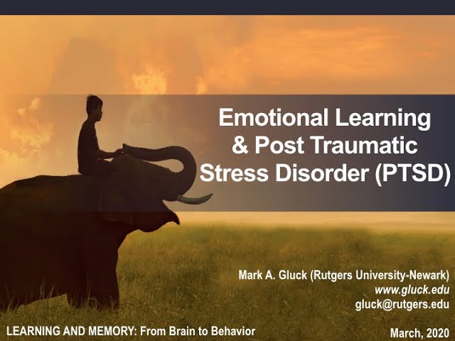 Emotional Learning and Post-Traumatic Stress Disorder (PTSD). Mark A. Gluck. Rutgers-Newark. 3/28/20