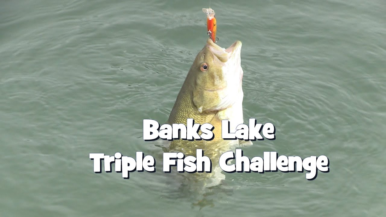 Banks Lake Triple Fish Challenge 