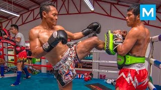 Saenchai Muay Thai Training | Muscle Madness