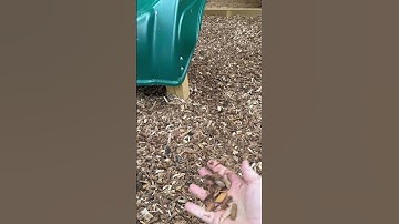 Speeltuinmulch / Geweldig product