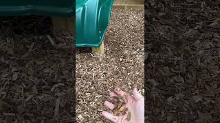 Playground Mulch Great Product