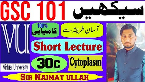 GSC101 Short Lecture 30c|GSC 101|CELL THEORY|Biology|CELLULAR COMPONENT|Cytoplasm|Cytoskeleton|vu..